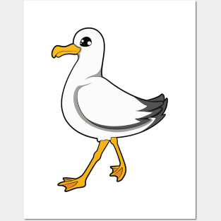 Seagull Posters and Art